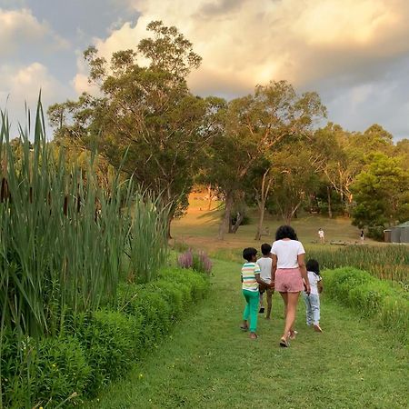 Iluka Retreat Glamping Village Red Hill South エクステリア 写真