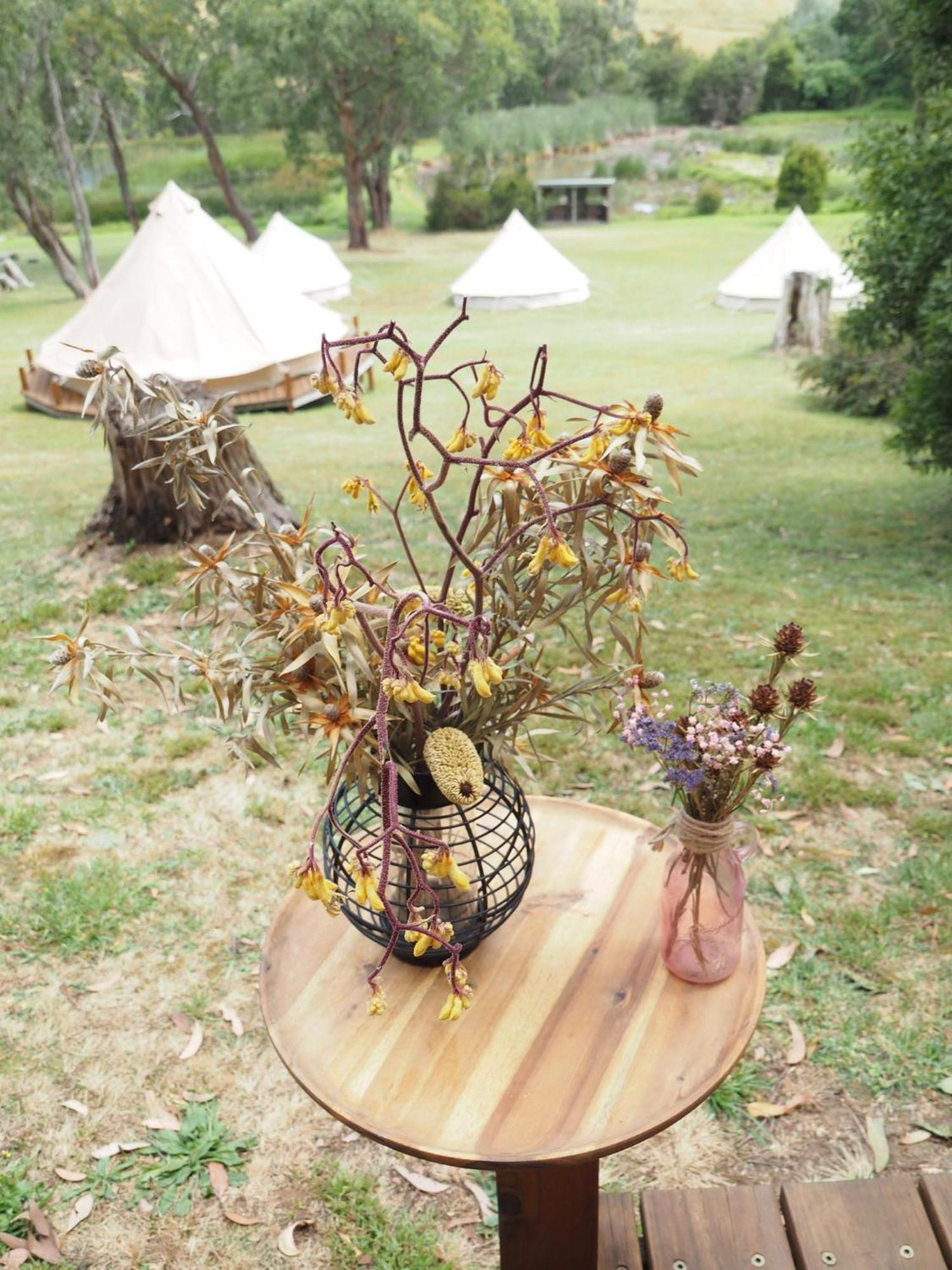 Iluka Retreat Glamping Village Red Hill South エクステリア 写真