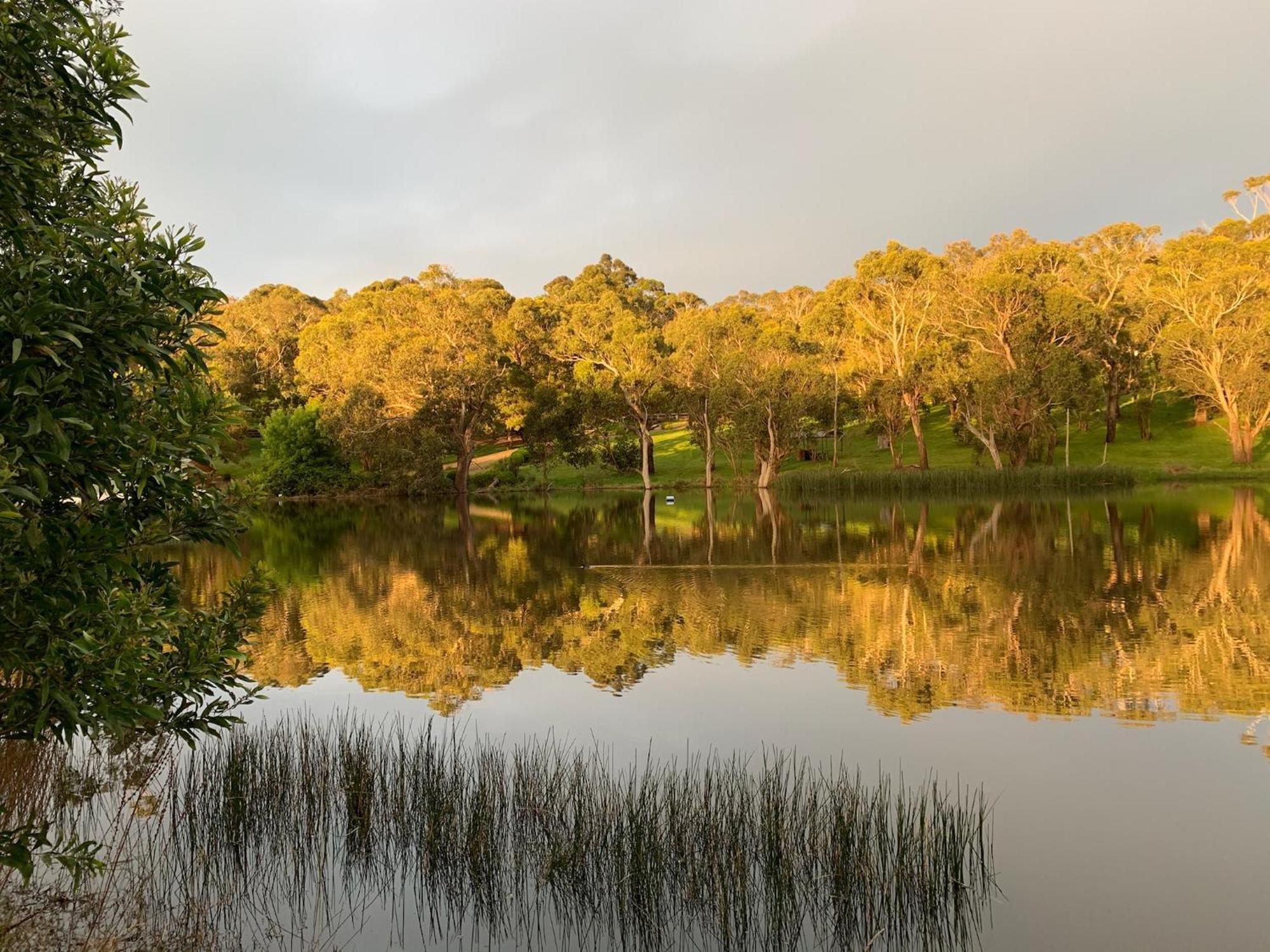 Iluka Retreat Glamping Village Red Hill South エクステリア 写真