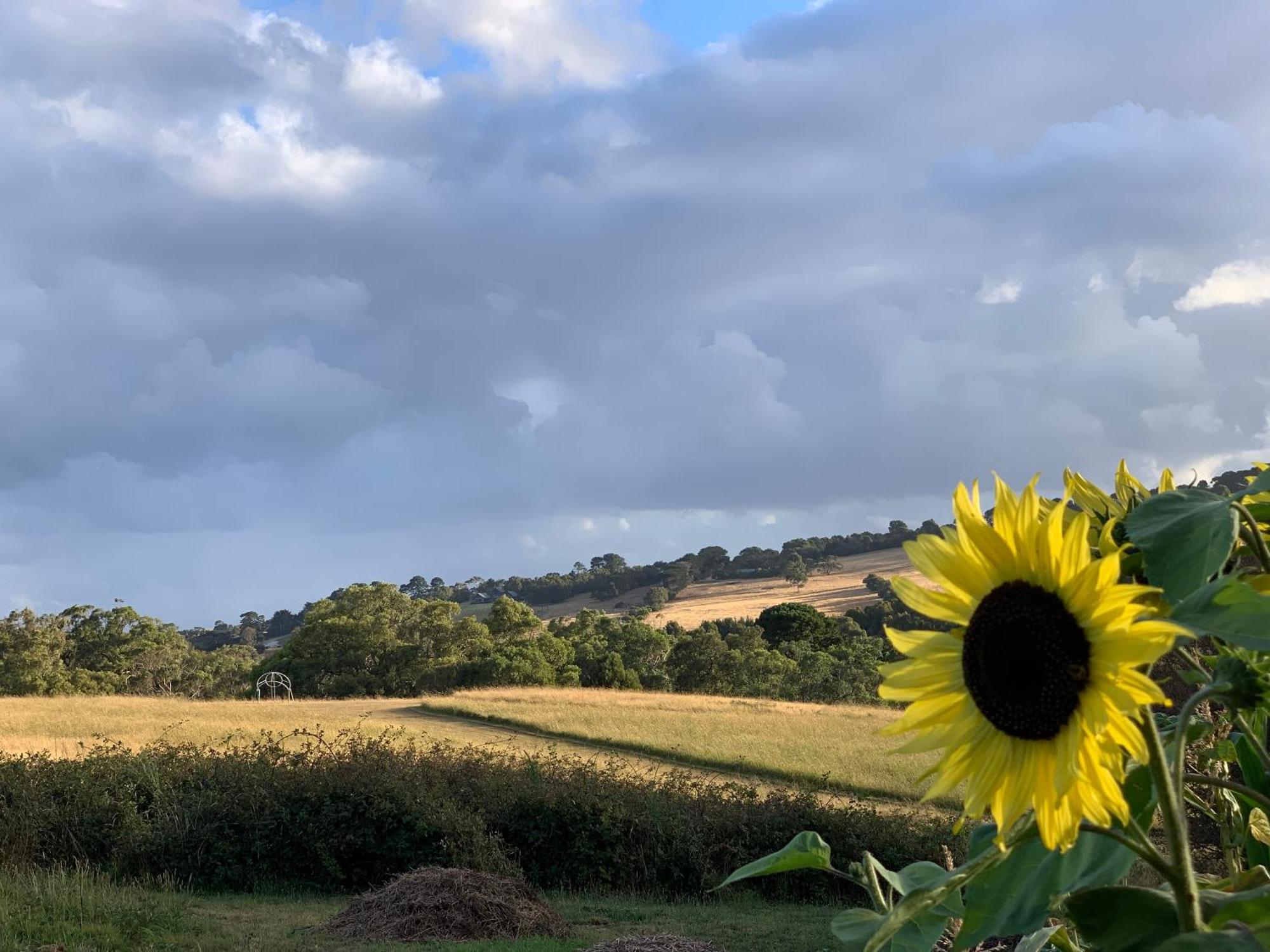 Iluka Retreat Glamping Village Red Hill South エクステリア 写真