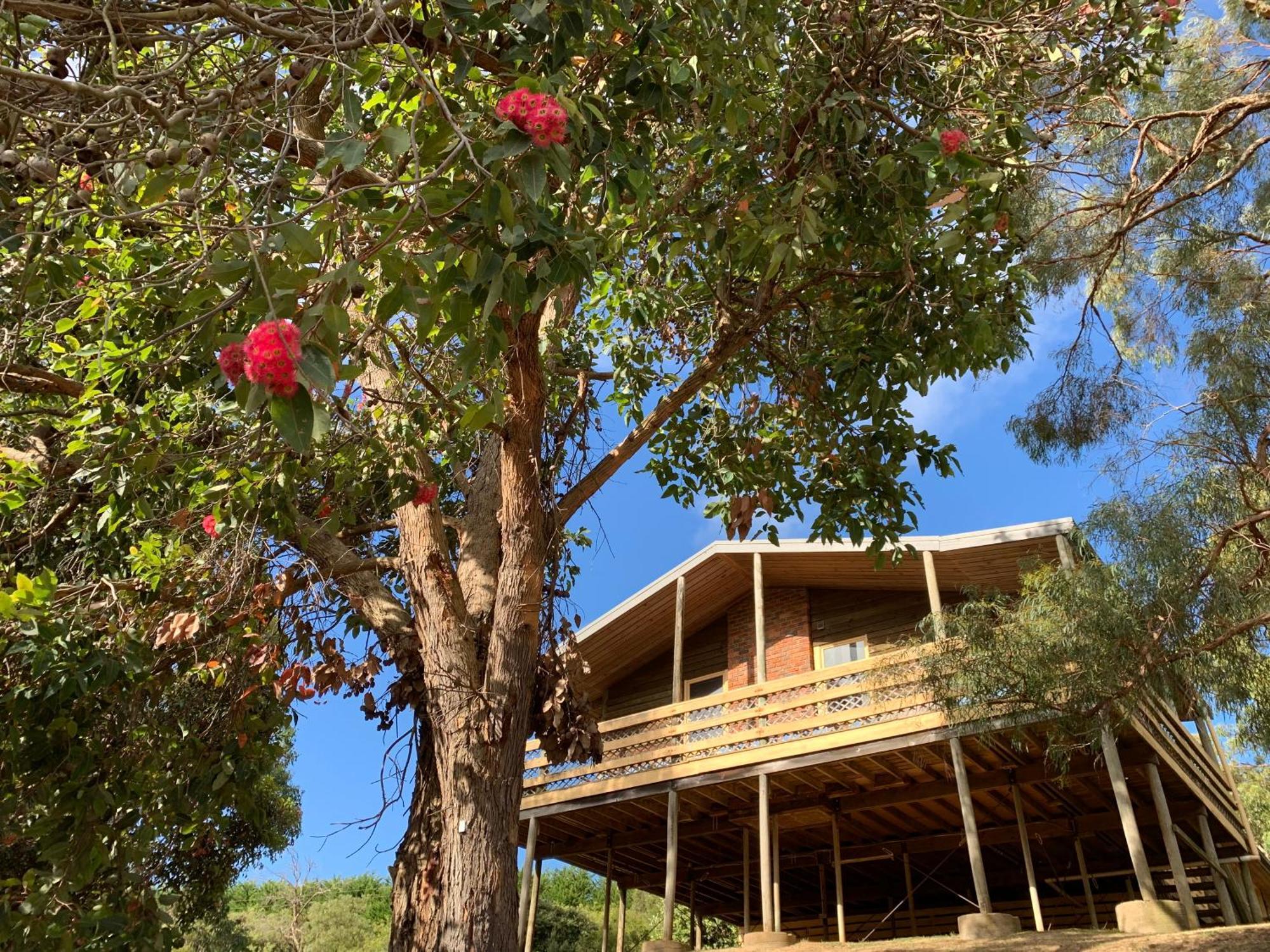 Iluka Retreat Glamping Village Red Hill South エクステリア 写真